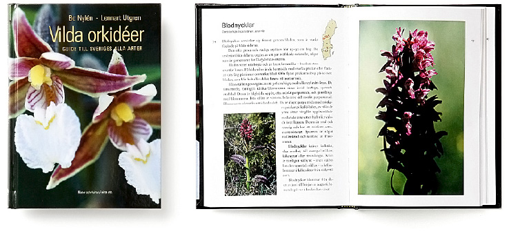 Vilda orkidéer - guide till Sveriges alla arter
